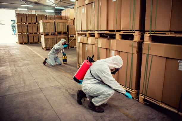 Best Termite Control Services  in Mcmechen, WV