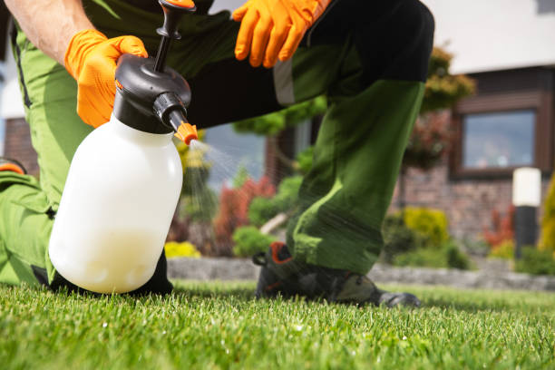 Best Residential Pest Control  in Mcmechen, WV