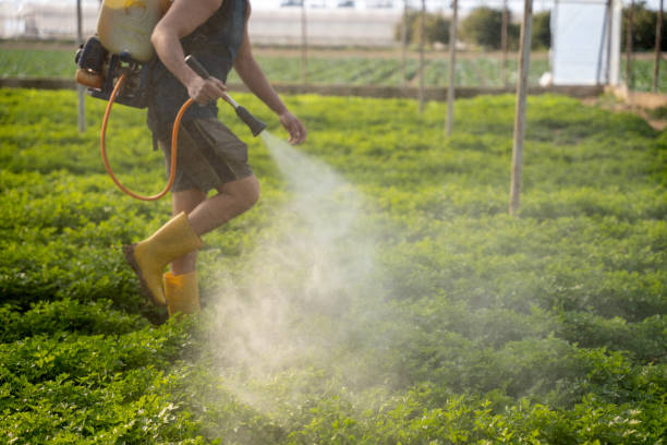 Best Best Pest Control Companies  in Mcmechen, WV
