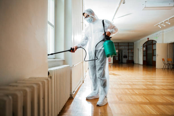 Flea Control Services in Mcmechen, WV