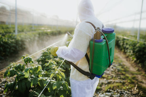 Best Emergency Pest Control  in Mcmechen, WV